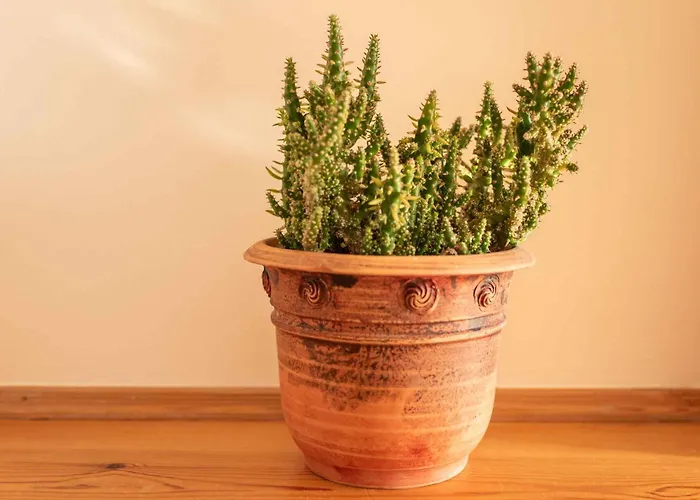 9 아파트 케츨리